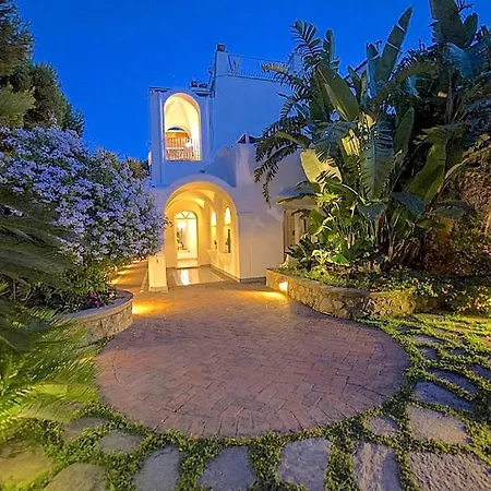 Bella Conchiglia